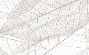 Микс Фантазия 2 Декор 250*400 (1*10) НКС