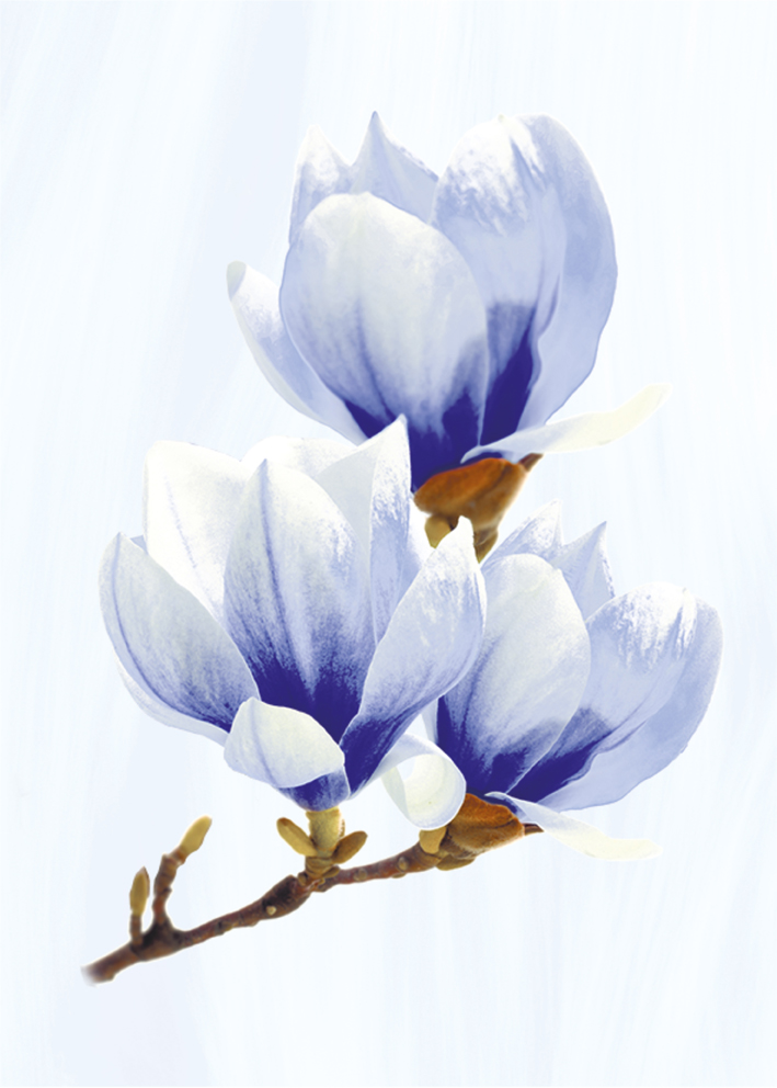 Агата Декор 250*350 голубой сортовой (1*15) ВКЗ (Волгоград)