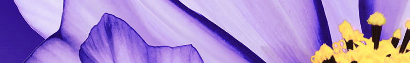 Виола Бордюр 60*400 сортовой (1*28) ВКЗ (Волгоград)