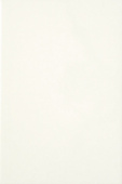 Белая люкс (глянцевая) 300x600