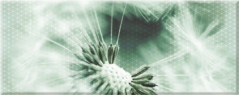 Концепт 7О Декор-панно тип 3 200*500 Керамин