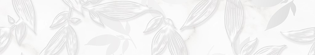 Колибри Бордюр 60*400 (1*28) НКС