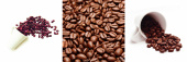 Coffee 2 (Две чашки) 100x300