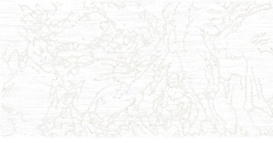 Симфония 3 Декор 250*500 белый  (1*8) VINCHI