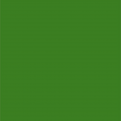 AR 305 зеленый лист 300x300