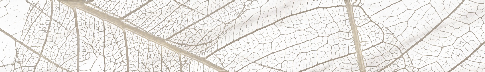 Микс Фантазия Бордюр 400*60 (1*28) НКС