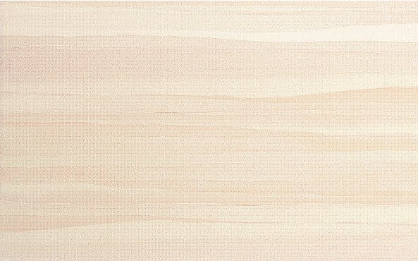 Розмари корал верх 01 ПО 250*400 (0,1*14=1,4*54) Шахтинская плитка