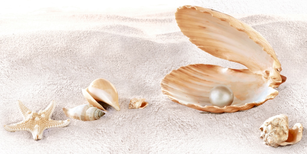 Сицилия декор 250*500 бежевый (1*7) VINCHI