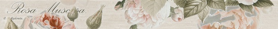 Garden Rose beige border 01 Бордюр 65*600 (1*12) Gracia Ceramica