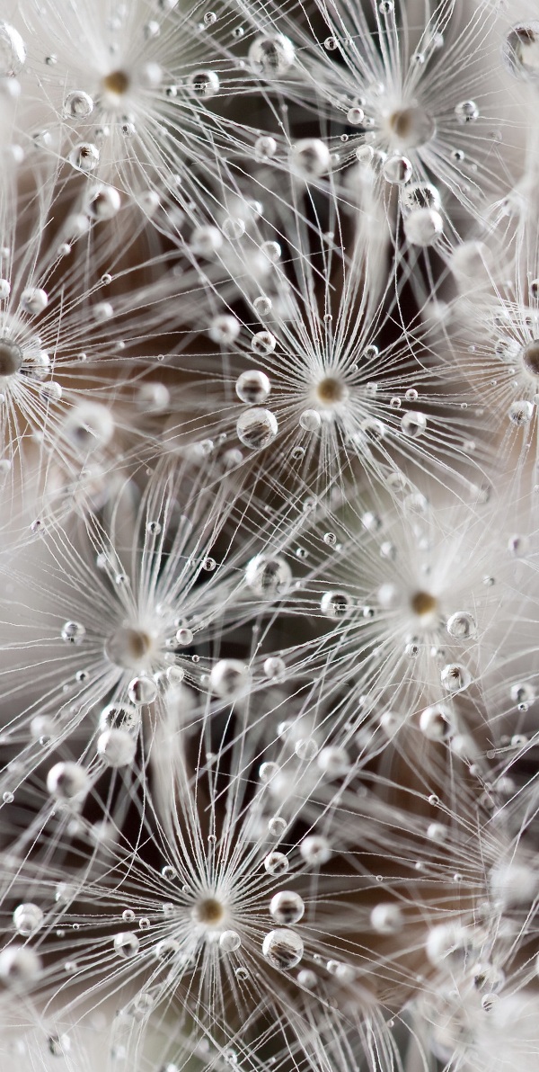 Джерси () Декор 300*600 белый (1*9) Березакерамика