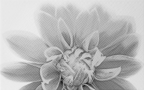 Камелия черная 03 Декор 250*400 (1*13) Шахтинская плитка