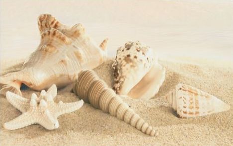 Amalfi sand decor 01 250*400  Шахтинская плитка