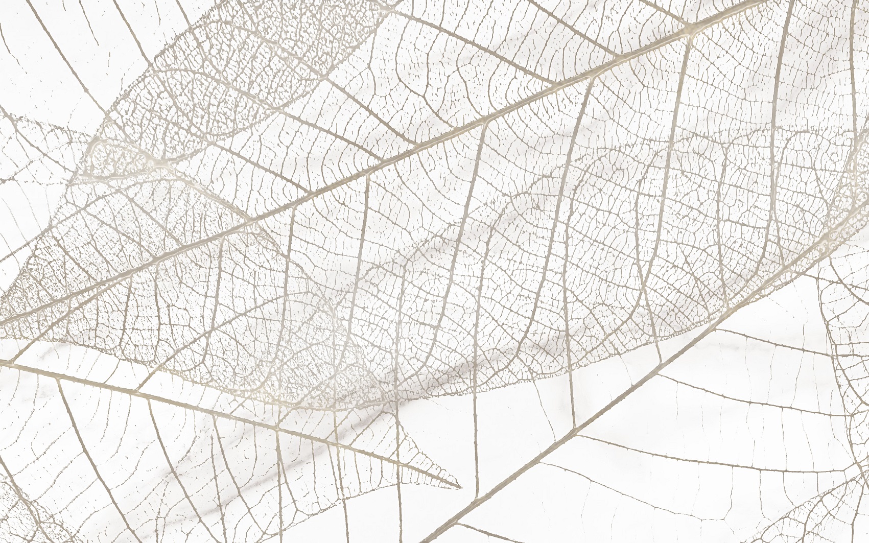 Микс Фантазия 2 Декор 250*400 (1*10) НКС