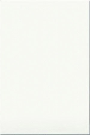 Белая Премиум ПО 200*300 (0,06*24*64) Шахтинская плитка