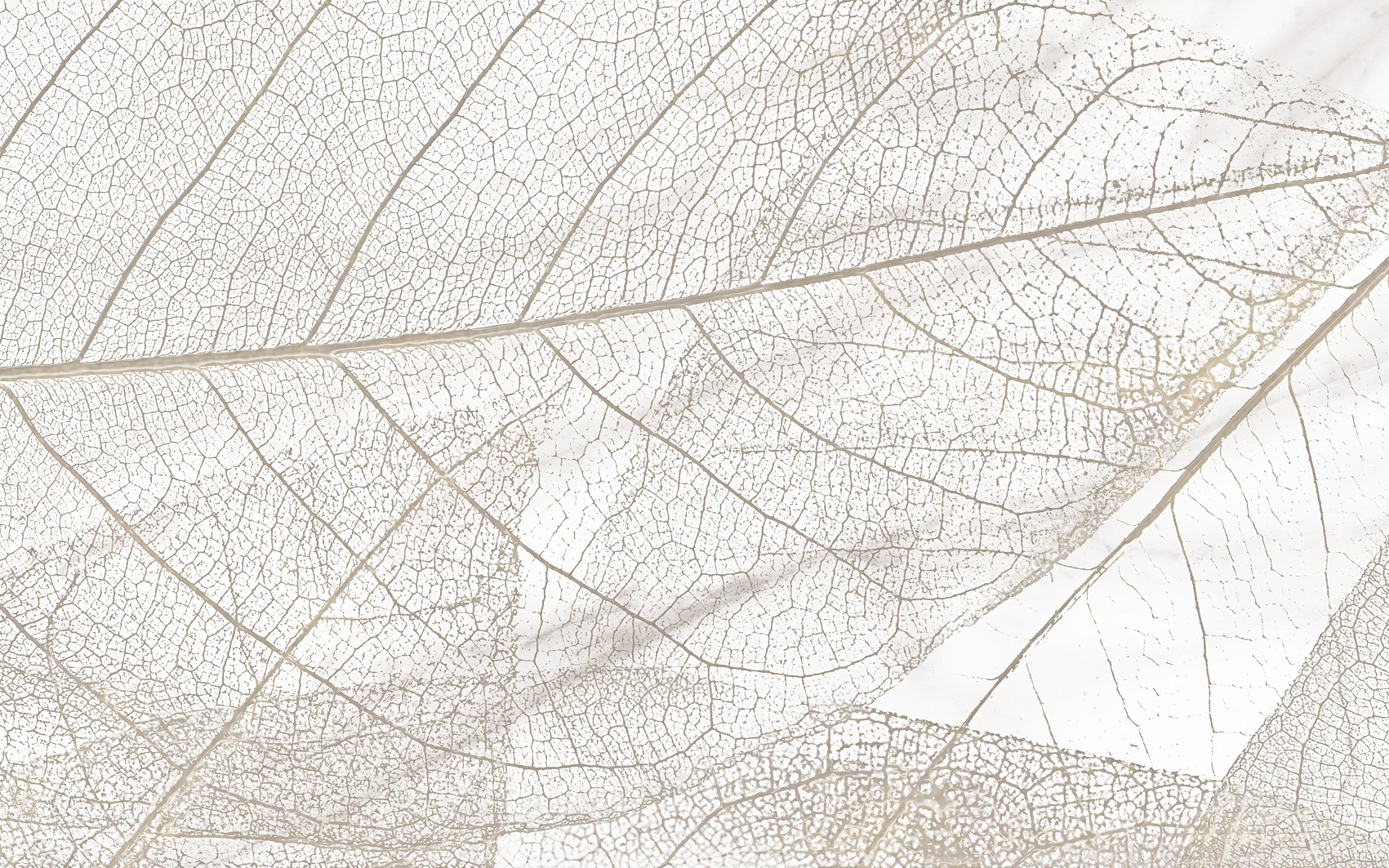 Микс Фантазия 1 Декор 250*400 (1*10) НКС