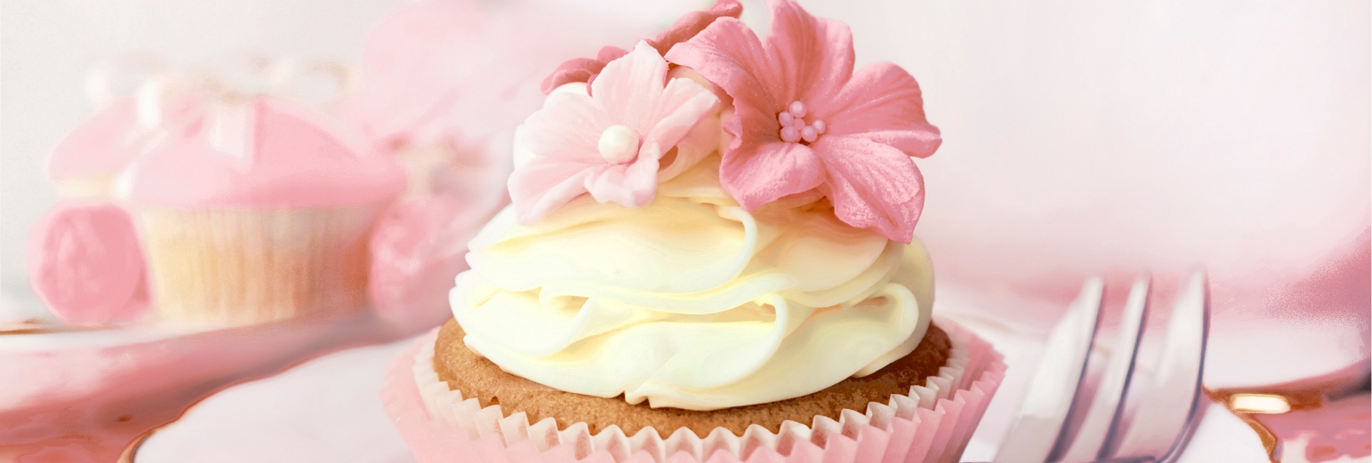 Капкейки 1 Декор 100*300 (1*16)