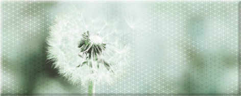 Концепт 7О Декор-панно тип 1 200*500 Керамин