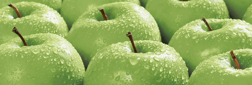 Яблоки Декор 100*300 (1*16)