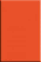 Радуга 9ТМ оранжевая 200x300