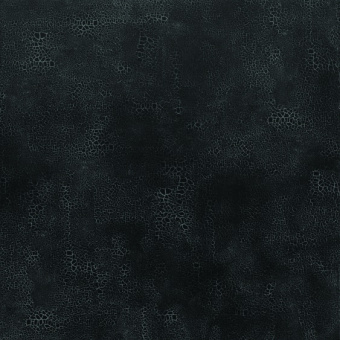 03897e064314006f7495dc05a30204f1