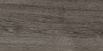 petros_1_600x300_01