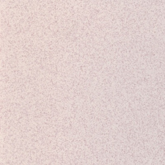 СТ 303 светло-розовый 300x300 фото в интернет-магазине Пиастрелла