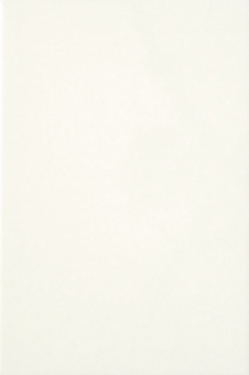 Белая люкс (глянцевая) 250x500 фото в интернет-магазине Пиастрелла