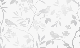 Blanc-white-decor-01-300kh500-_1_i_-sort_
