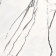 bonn-600-600
