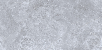 Pulpis-Grey_face1