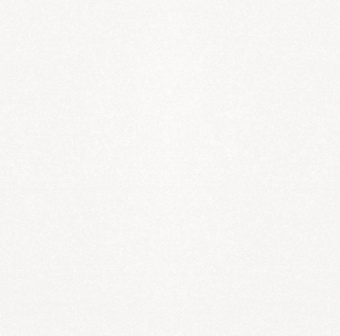 monocolor-white-color