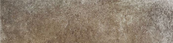 bellini-brown