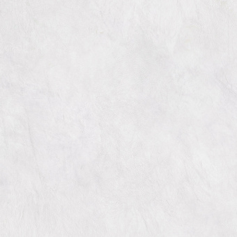 Lauretta white PG 01 600x600 фото в интернет-магазине Пиастрелла