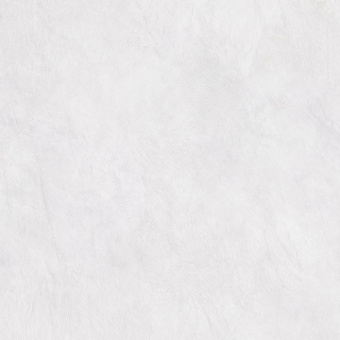 lauretta-white-pg-01