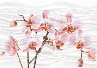 Орхидея люкс 280x400 фото в интернет-магазине Пиастрелла