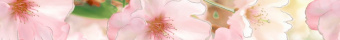 Гармония розовый узкий 600x50 фото в интернет-магазине Пиастрелла