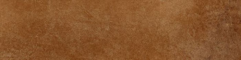 bellini-cotto