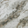 Asgard (3)