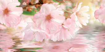 Гармония розовый 250x500 фото в интернет-магазине Пиастрелла