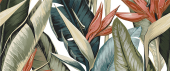 Mango_multi_panno_01_1