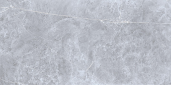 Pulpis-Grey_face4