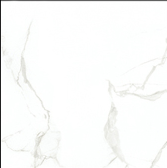 CB6Y025PA_7