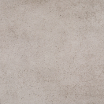 kallisto-grey-pg-01