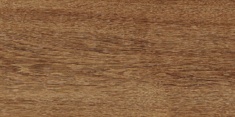petros_4_600x300_01