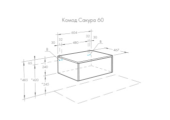 komod60_4