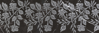 49186807ec66ecdaf0ea6f1d44f838c7