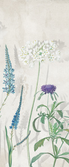 Liberty_grey_panno_01_2