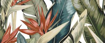 Mango_multi_panno_01_2