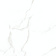 CB6Y025PA_CK6Y039PA-_